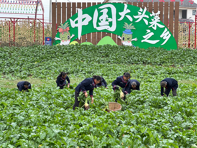 微信图片_20251223165834_1463_49.jpg