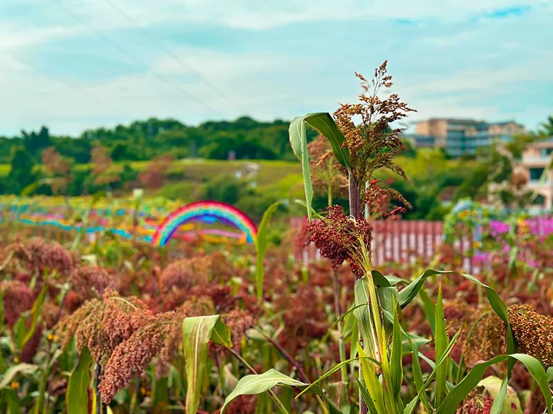 640 [原始大小].jpg