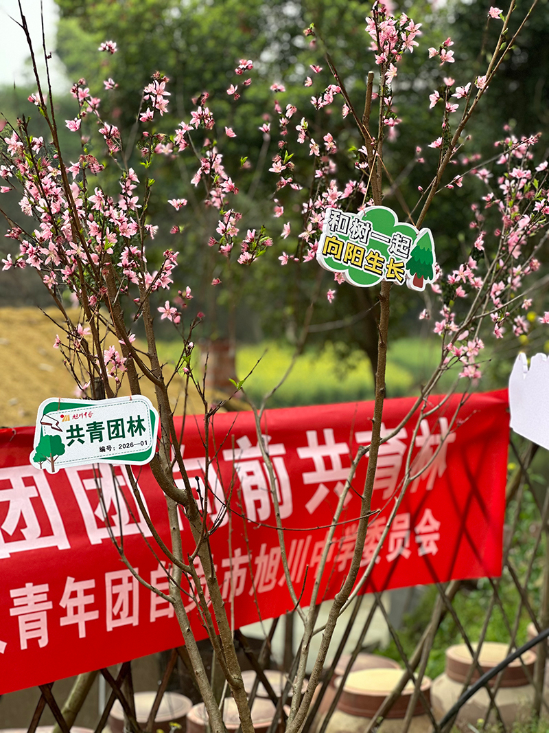 微信图片_20260313133640_1989_49.jpg