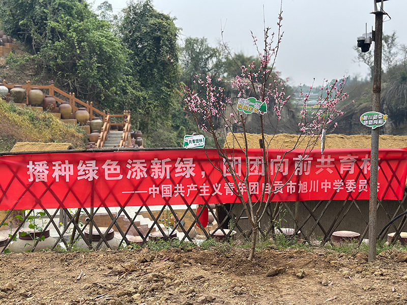 微信图片_20260313133642_1990_49.jpg