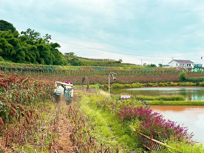 640 (2) [原始大小].jpg