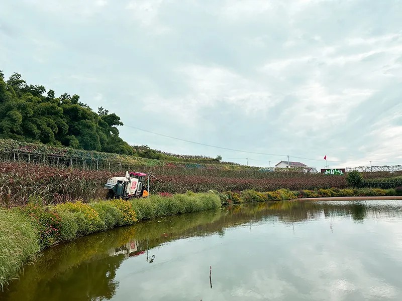 640 (4) [原始大小].jpg