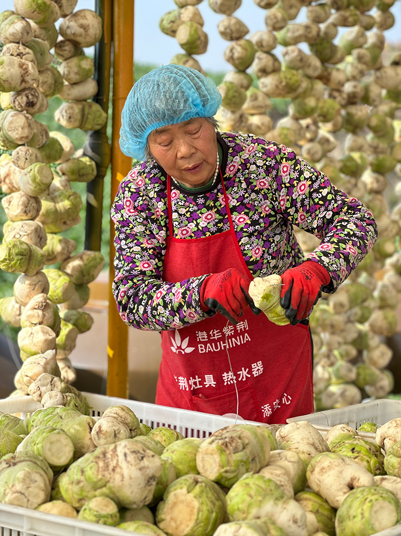 微信图片_20251215150716_1407_49.jpg